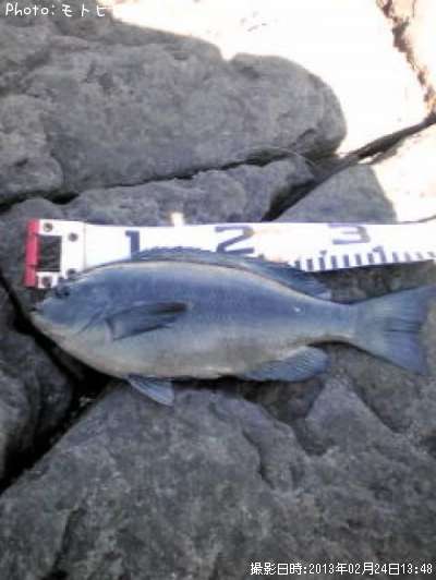 �����᥸��