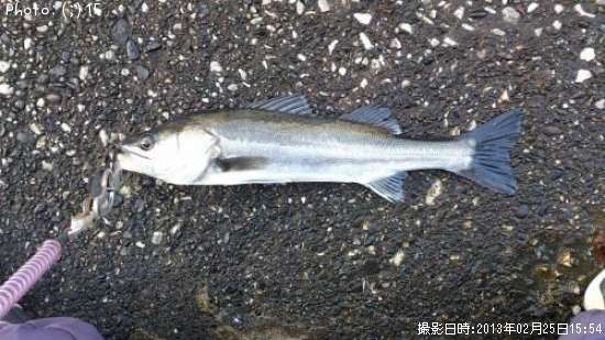 �����Х�