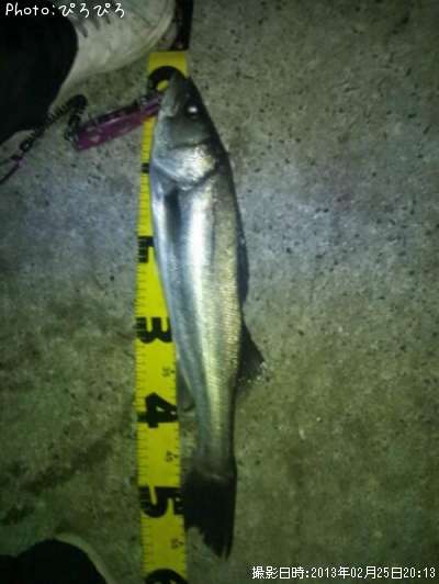 �����Х�