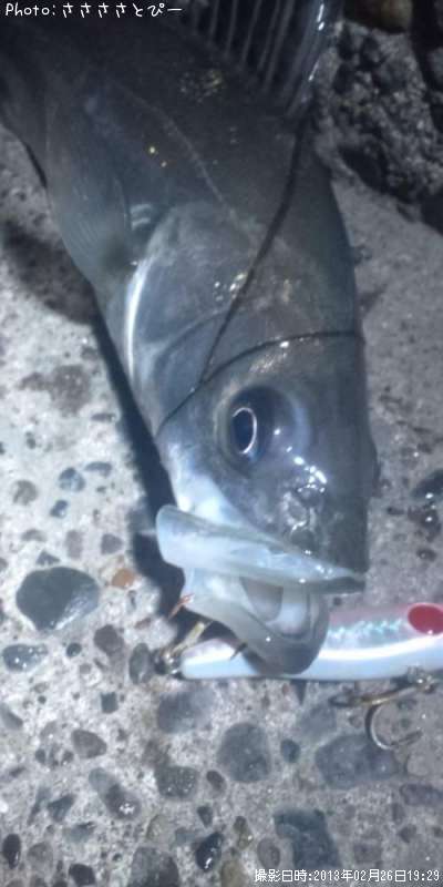 �����Х�