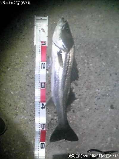 �����Х�