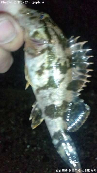 �����Υ���Х�