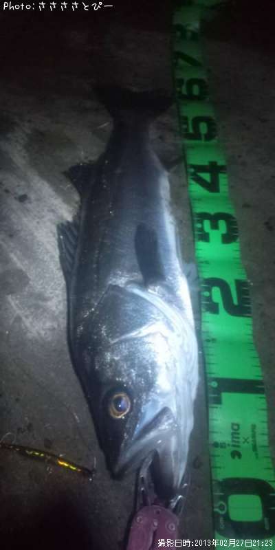 �����Х�