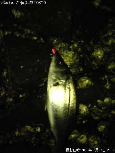 �����Х�