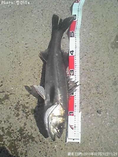 �����Х�