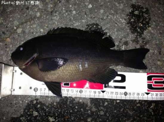 �����᥸��