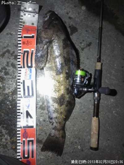 �����ʥ�