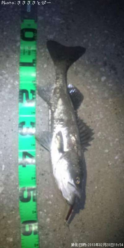 �����Х�