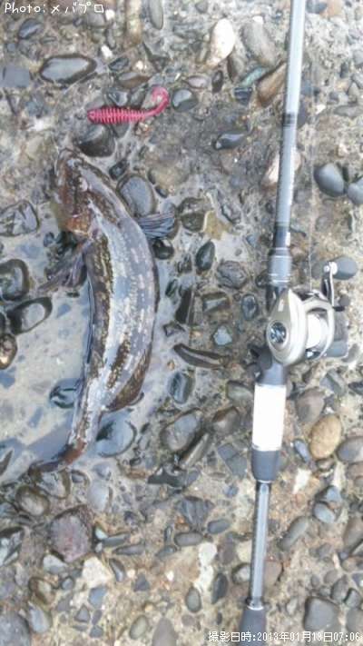 �����ʥ�