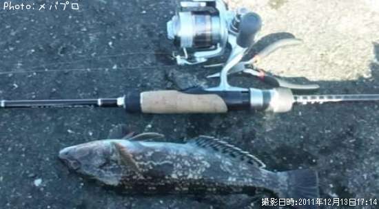 �����ʥ�