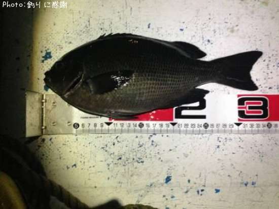 �����᥸��