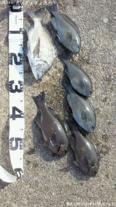 ���������᥸��