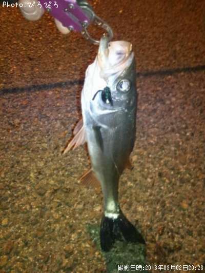 �����Х�