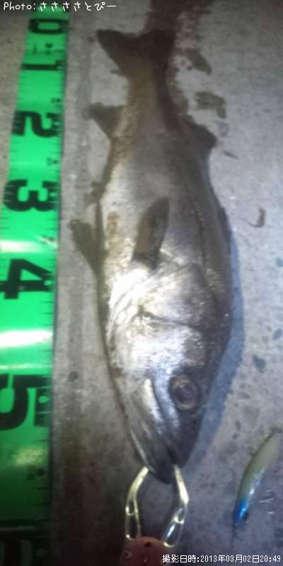 �����Х�