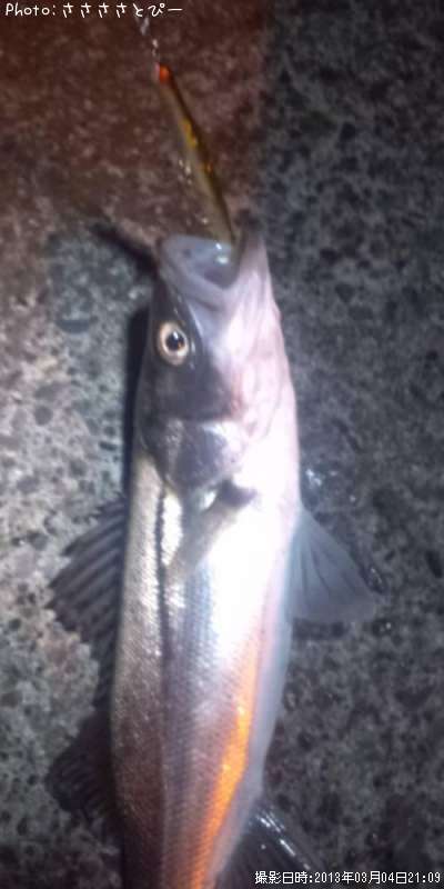 �����Х�