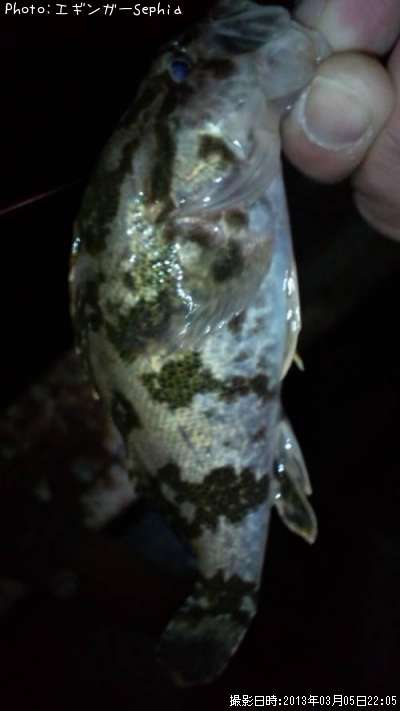 �����Υ���Х�