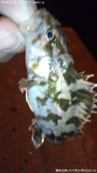 �����Υ���Х�