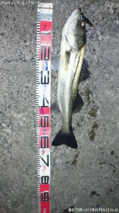 �����Х�