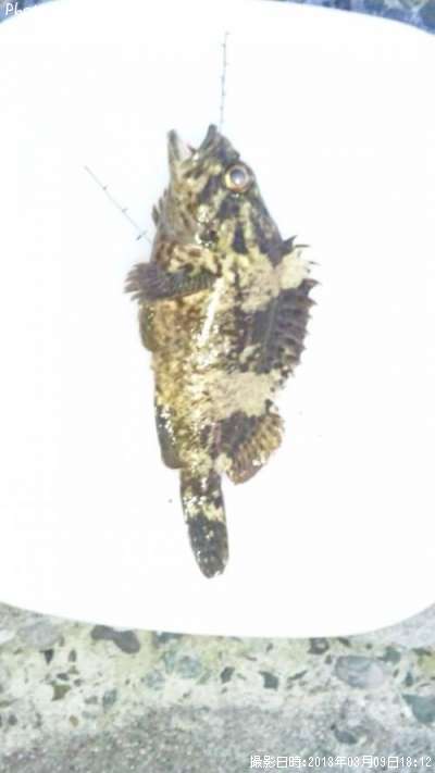 �����Υ���Х�