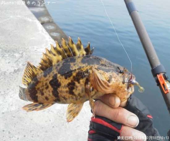 �����Υ���Х�