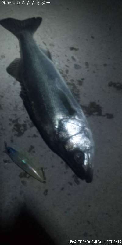 �����Х�