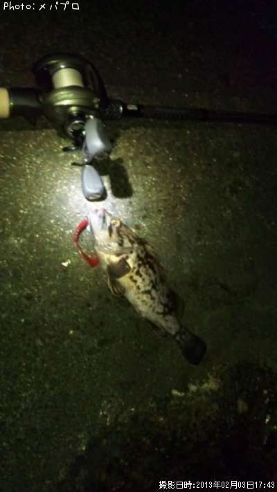 ���ӥ���