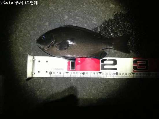 �����᥸��