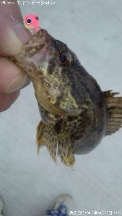 �����Υ���Х�