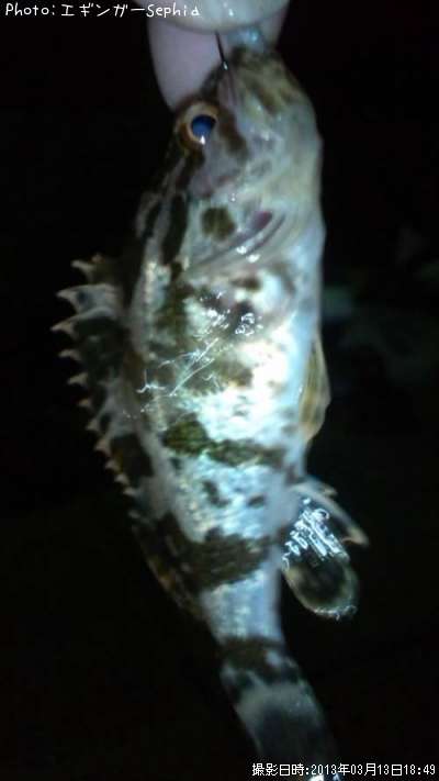 �����Υ���Х�