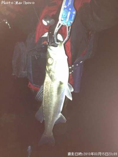 �����Х�