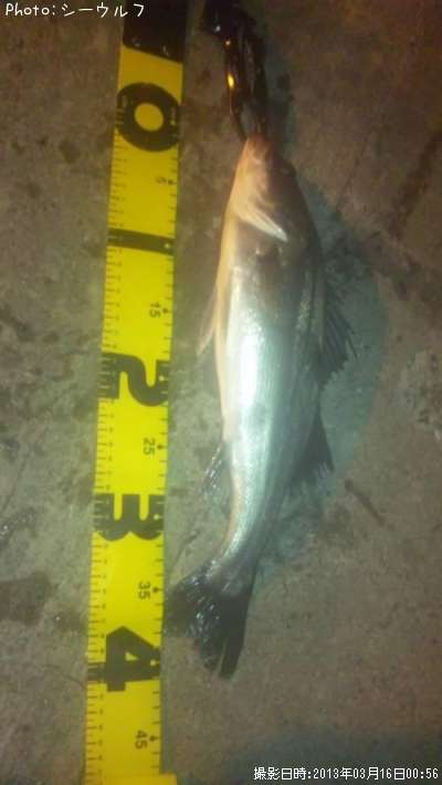 �����Х�