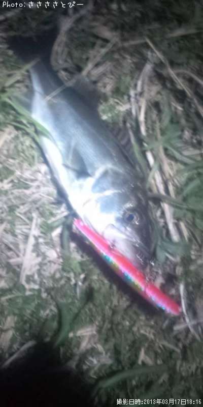 �����Х�