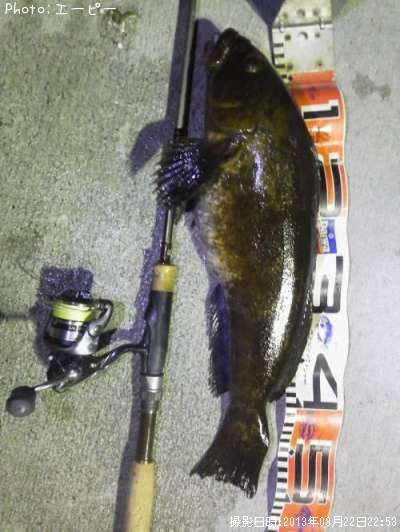 �����ʥ�