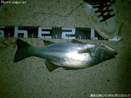 �ҥ饹����