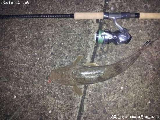 �ޥ���