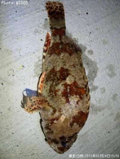 �������Х�