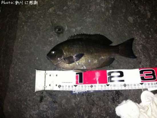 �����᥸��