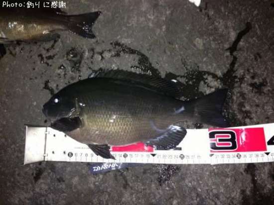 �����᥸��