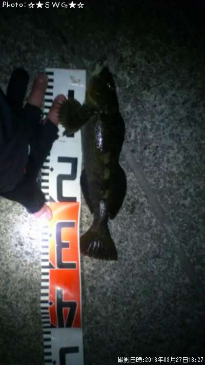 �����ʥ�