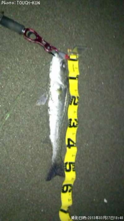 �����Х�