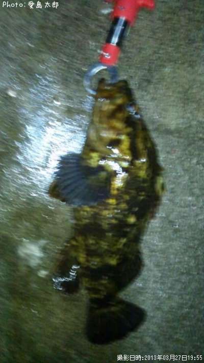 �٥å�������