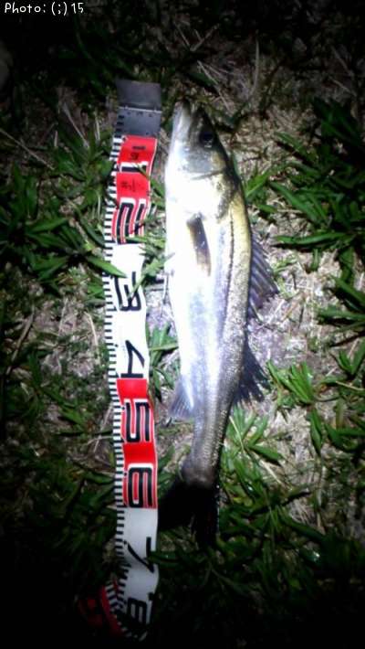 �����Ф�