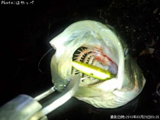 �����Х�