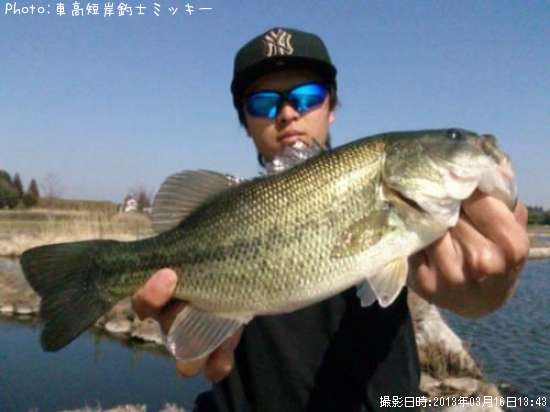 �֥�å��Х�