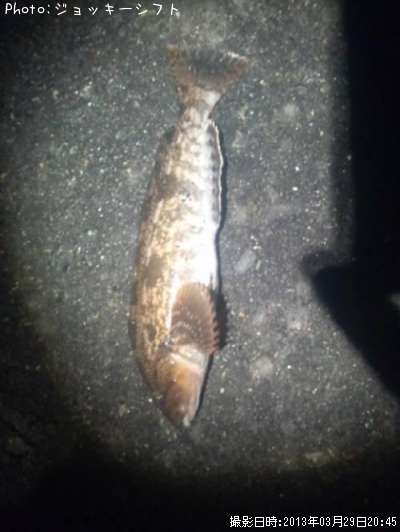 �����ʥ�