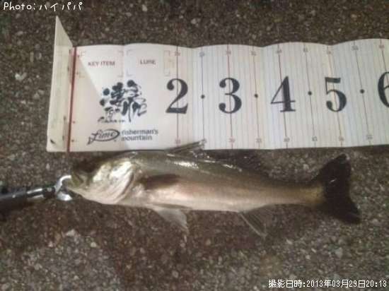 �����Х�