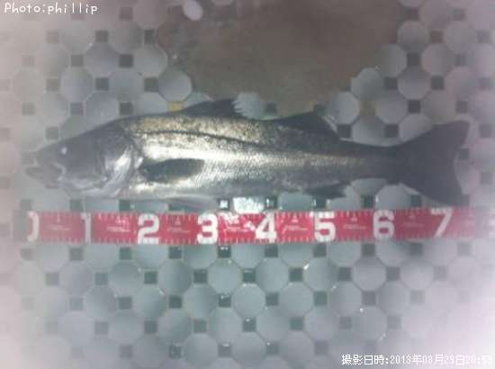 �����Х�