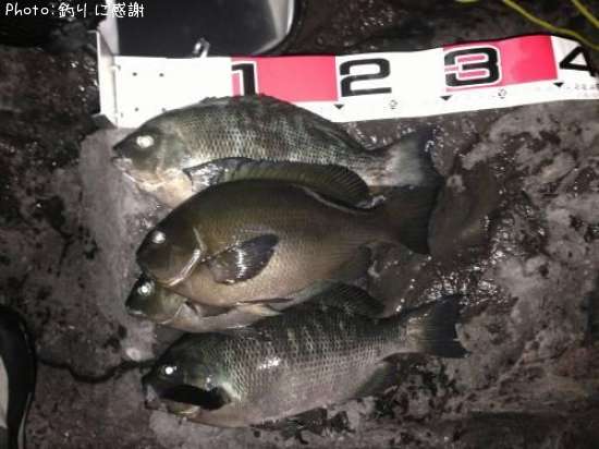 �����᥸��