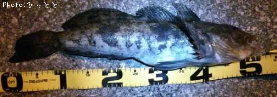 �����ʥ�