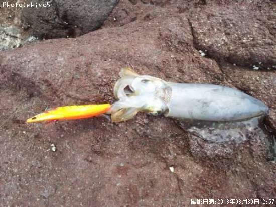 �����ꥤ��